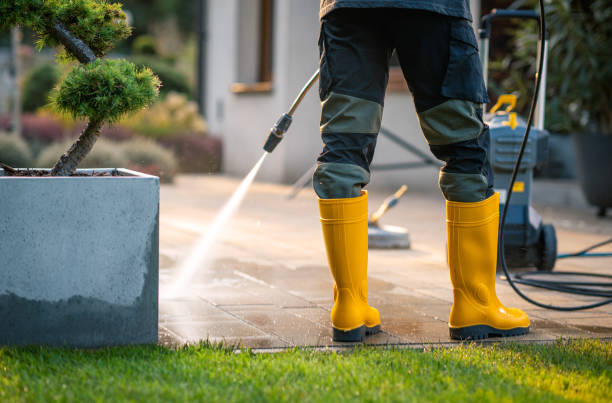 Best Roof Pressure Washing  in Ixonia, WI